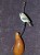 Golden Crowned Kinglet