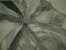 Untitled Art