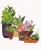 plants in a pot collage
