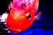 fishart photo