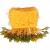 Gifts From The Sugar Maple
