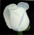 white rose on black