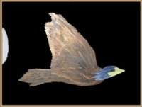 flight