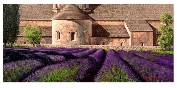 Abbey Lavender