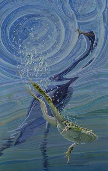 Southern Leopard Frog & Tricolored H