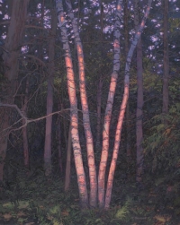 Bouquet of Birch at Sunset, o/c