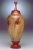 Norfolk Island Pine