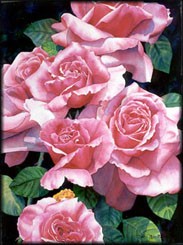 Roses Roses Roses
