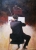 Violinist