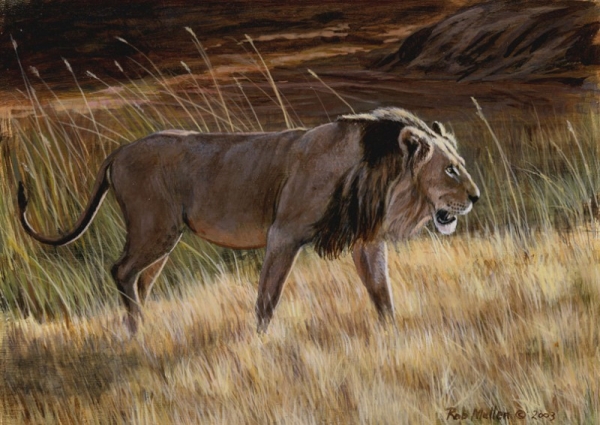 lion