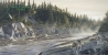 river wolves