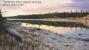 river dawn