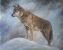 Cold Surveillance. (Timber Wolf)