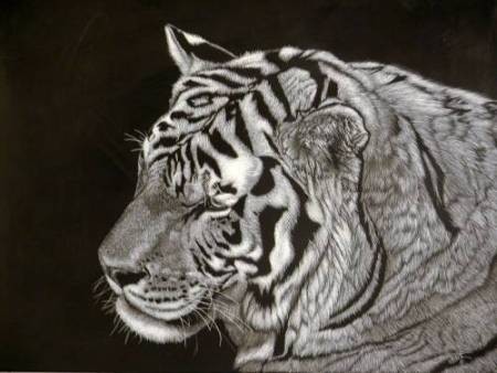 Scratchart
