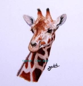 Giraffe Miniature