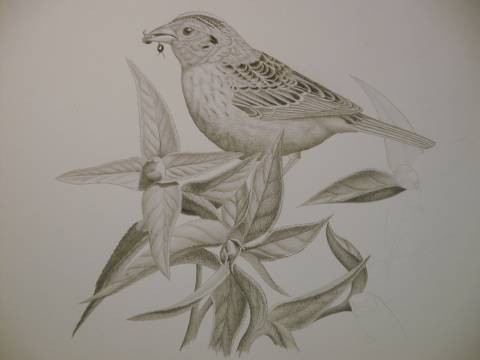 Step 4