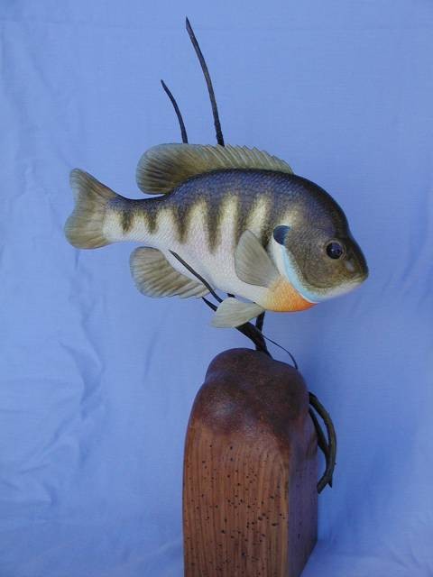 Bluegill wood sculpture