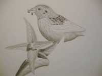 Step 3