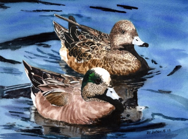 Watercolor