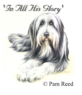 pastel watercolour portrait of a dog