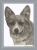 Corgi Portrait