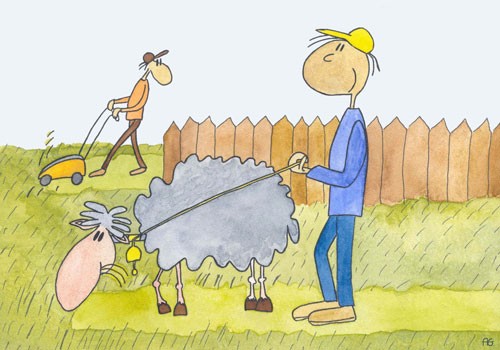 Sheep cartoon
