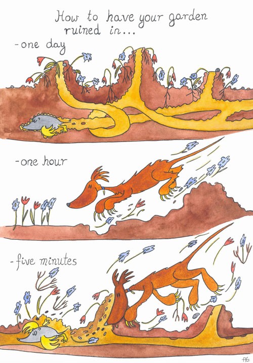 Ruined garden cartoon
