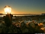 St. Heliers Sunrise