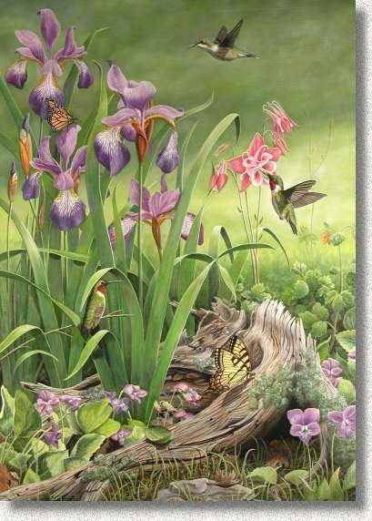 Hummingbird Hangout