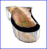 polished brownlip seashell box
