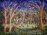 Enchanted Forest