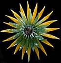 Blown Glass Wall Sculpture