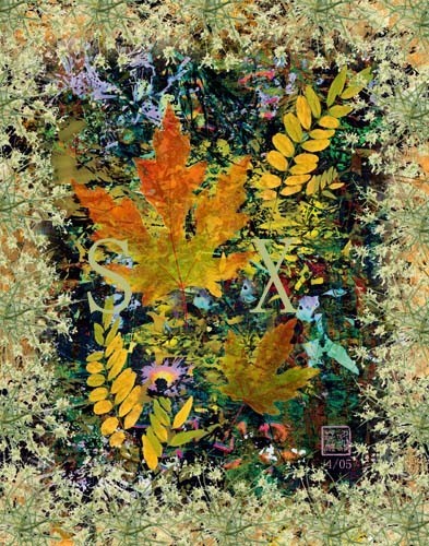 Fall Colors