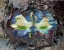 together - swan lake love