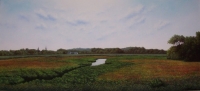 A Summer Afternoon on Cape Cod