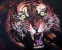 Tiger Fury