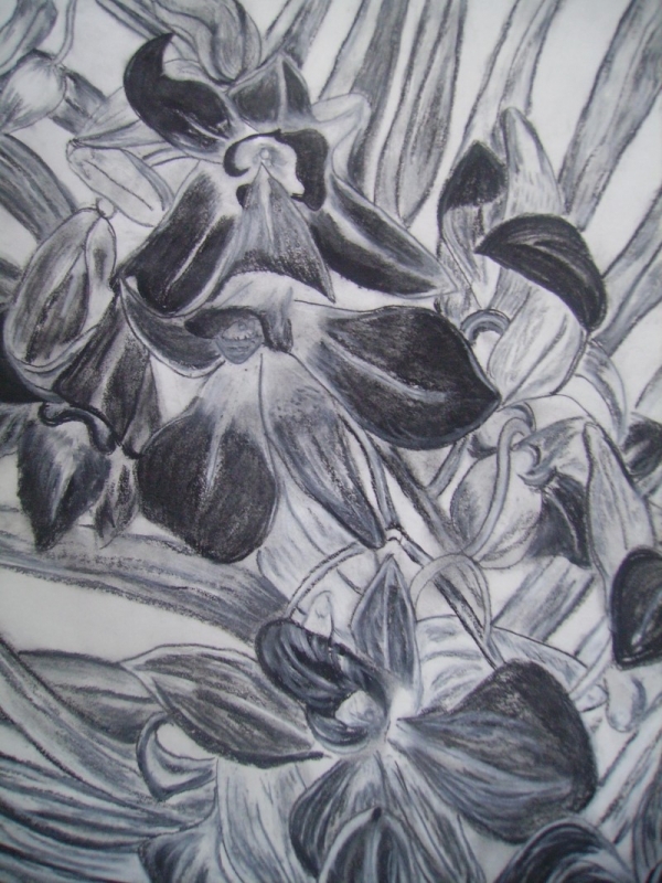 Untitled Art