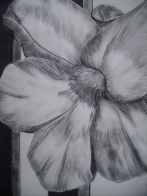 Untitled Art