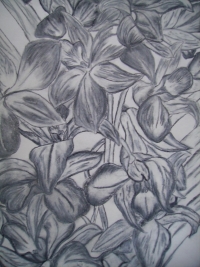Untitled Art