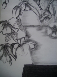 Untitled Art