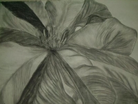 Untitled Art