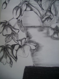 Untitled Other