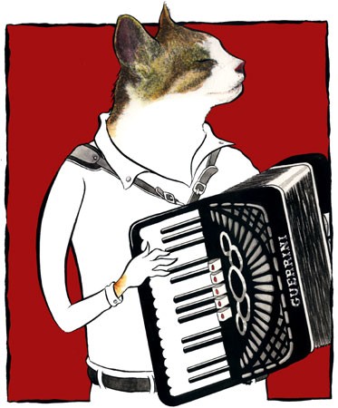 Pet Portrait - cat with accordion