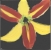 ceramic tile