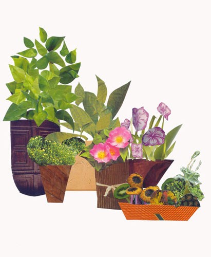 plants in a pot collage plants in a pot collage
