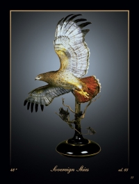 Red Tailed Hawk