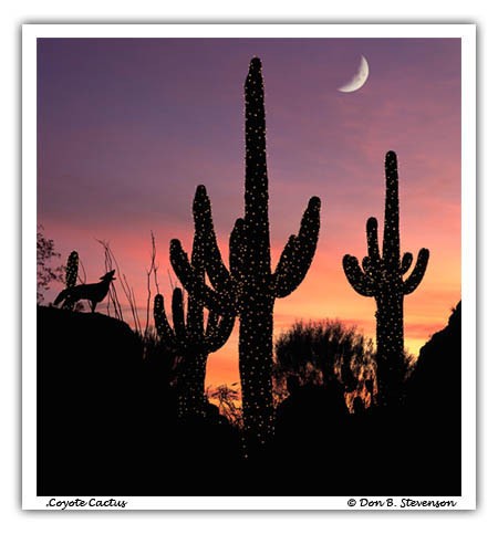 Arizona photo Ã‚Â© Don Stevenson