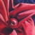 Red Apple