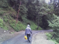 the way i got by