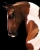 resin warmblood horse sculpture